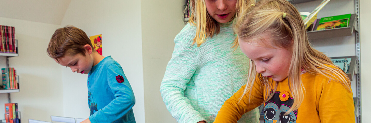 0307 StadtBib Sursee atedo